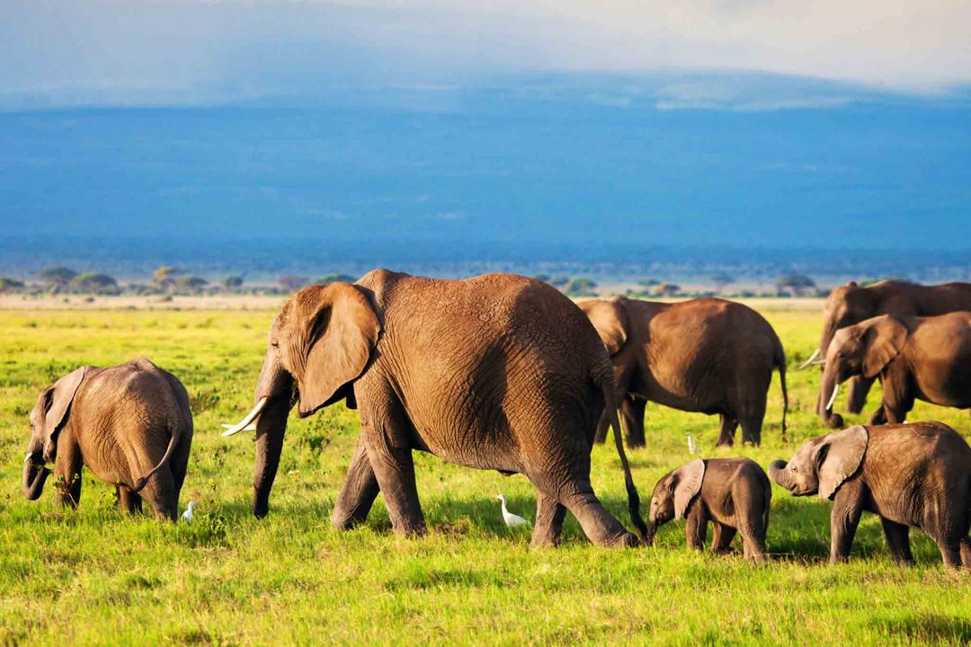 Flight Centre Careers Job Listings